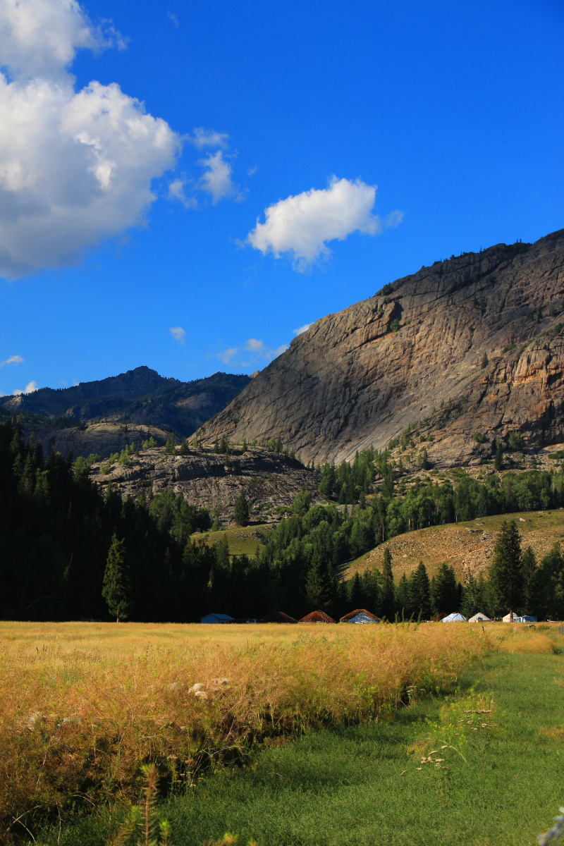 哈萨克桌面手机版(哈萨克应用软件下载)-第3张图片-QuickQ官网