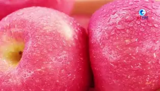 苹果版qmd(qmd音乐软件)-第4张图片-QuickQ官网 苹果版qmd(qmd音乐软件)-第4张图片-QuickQ官网