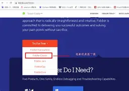 苹果版版fiddler软件(fiddler iphone)-第5张图片-QuickQ官网