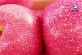 苹果权益版(苹果权益版手机能买吗)-第4张图片-QuickQ官网