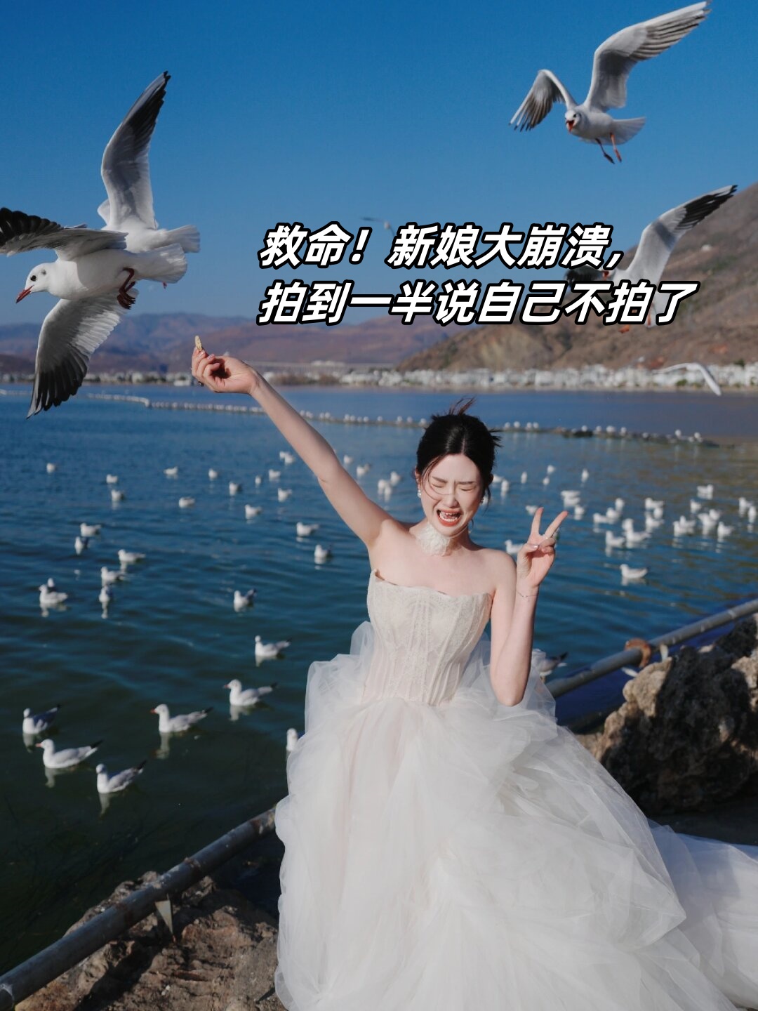 安安拍下载手机版(安安app下载手机版)-第5张图片-QuickQ官网